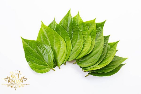 Cách chữa nám da mặt bằng lá trầu không